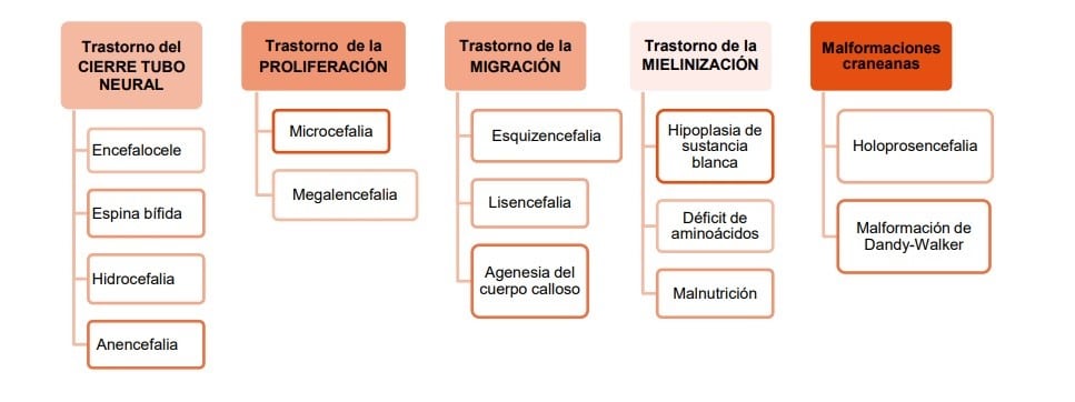 Figura 1: esquema de los diferentes trastornos del neurodesarrollo de inicio precoz