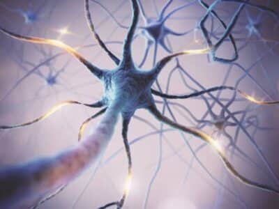 Neuronas supervivientes. La importancia de la neurorrehabilitación precoz en casos de accidente cerebrovascular